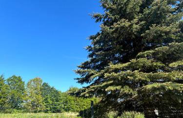 Biała Czapla - Foto 37