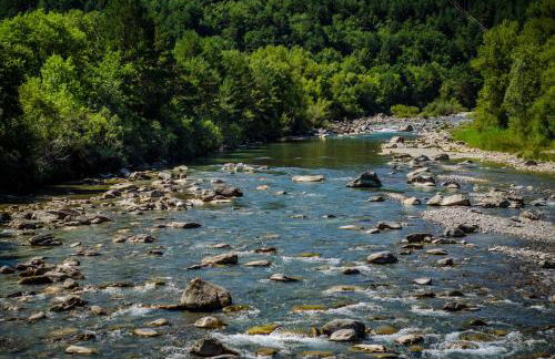 Borda Fuertes - Photo 45