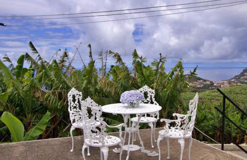 Quinta Tallinus - Foto 2