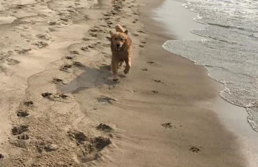 The Great Escape Blocks From Your Private Beach - Foto 31