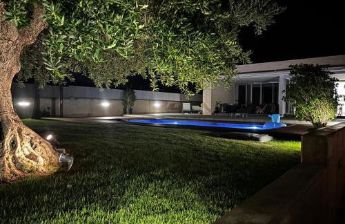 Legendary Lemon - Photo 28