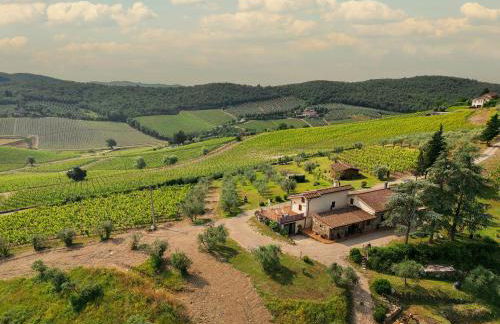 Tenuta il Poggetto - Foto 17