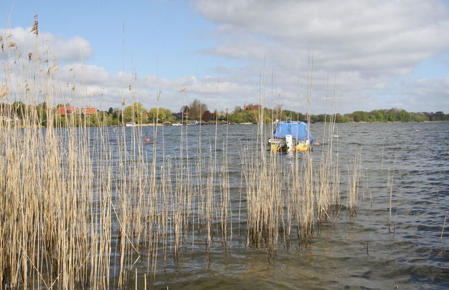 Ferienhaus Tversted in Zarrentin - Foto 20
