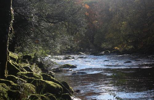 1 Bed in Hatherleigh 78087 - Foto 18