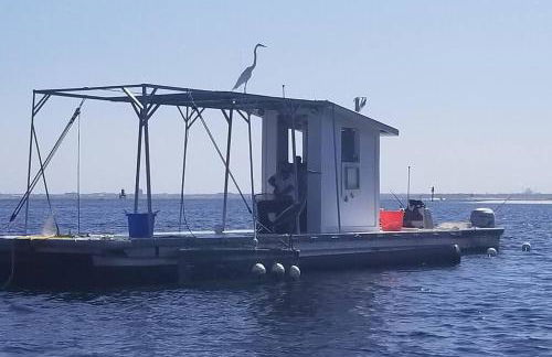 McDrifty's Hideaway - Photo 33