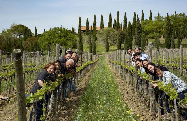 Agriturismo Bio 4 Stagioni - Photo 51
