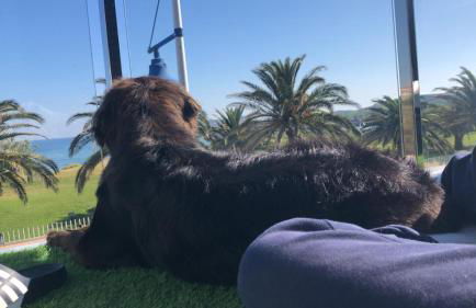 Alojamientos Marte apartamento a pie de playa y garaje - Foto 7