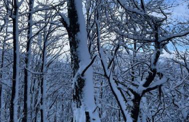 La casa di Noah - Foto 43