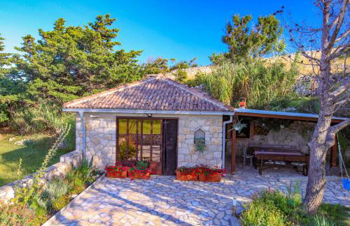 Apartments Dinko - Foto 8