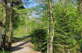 SMARAGD RIVER near Rastoke & Plitvice Lakes - Foto 47