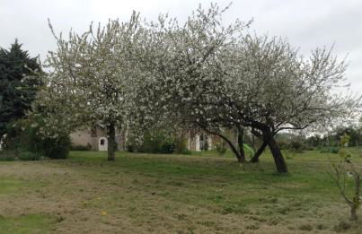La Huberdière - Foto 46