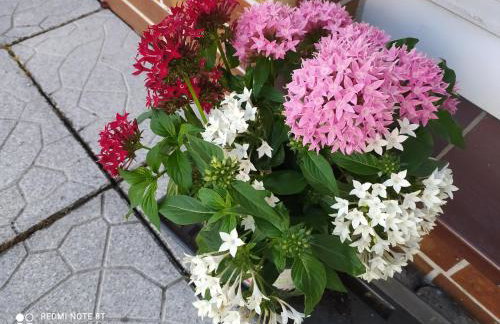 Ferienwohnung - Foto 11