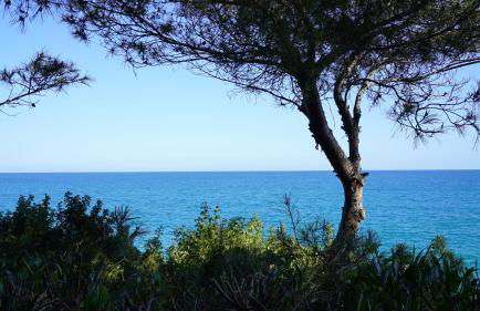 Bonita Casa Jardín Privado 5min a pie de Playa - Foto 31