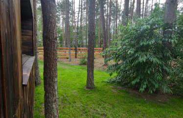 Domek lubiana180 SCANDI wśród drzew JACUZZI SAUNA KOMiNEK i TARAS na dachu jezioro Kaszuby Pieski tylko do 10kg za dodatkową opłatą - Foto 61