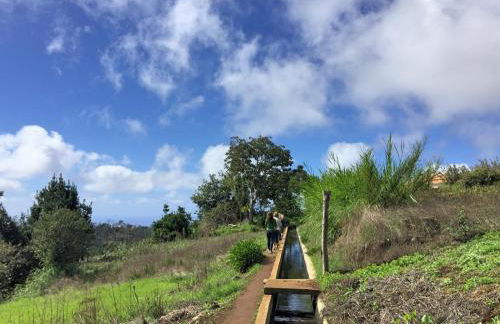 OurMadeira - Chalet Prazeres - Foto 22