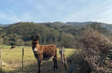 La Costana - San Cucao de Llanera - Foto 35