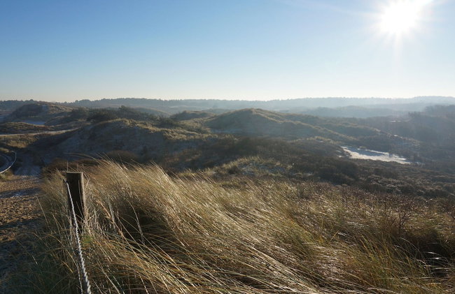 Holiday Home in Noordwijk Near Beach - Photo 22
