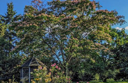 Gîte Le Grand Albizia - Foto 7