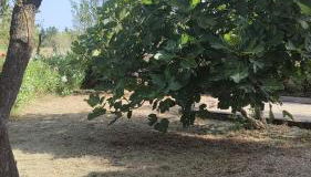 Chez Isa et Ray, un gîte en Provence - Foto 5