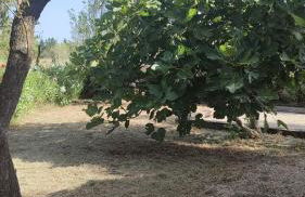 Chez Isa et Ray, un gîte en Provence - Foto 5