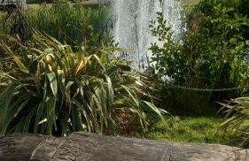 Edinburgh Seaside Retreat - Haven Seton Sands, Port Seton - Foto 33