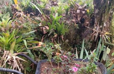 Casa da Pedra Serrinha - Photo 17