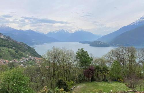 The Happy Rooster - Villa with Big Garden - Foto 8