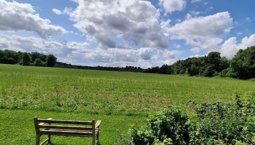 Luxury Shepherd's Hut - The Hyde - Foto 4