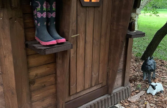 Starry Meadow - Foto 77