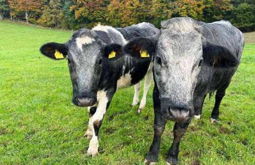 Ferienwohnung Mucki - Foto 18