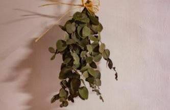 Graciosa Family House - Foto 28