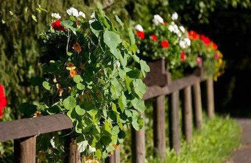 Chalet in Germany With Fireplace & Terrace - Foto 74