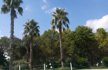 Agriturismo Torrevecchia - Foto 16