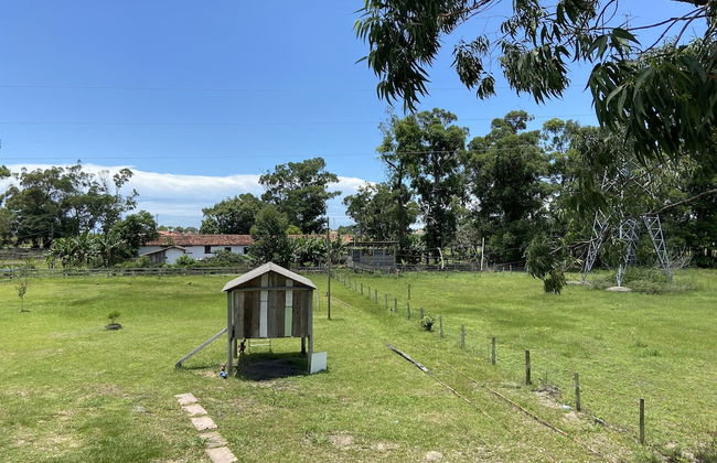 Haras Trevo de Ferro - Photo 20