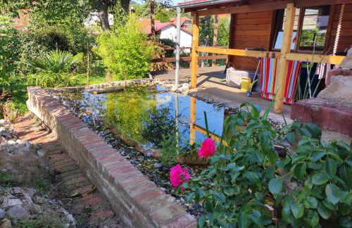 Pension Alte Schmiede - Foto 8