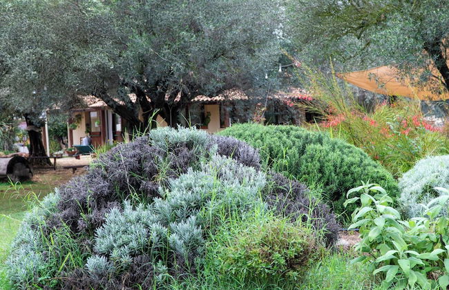 Su Leunaxiu - Foto 78