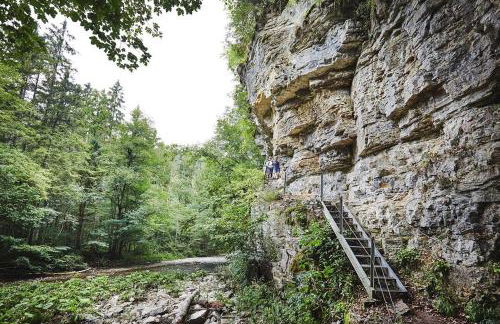 Ferienwohnung Schwarzwald - Nähe der Schweiz - Foto 29
