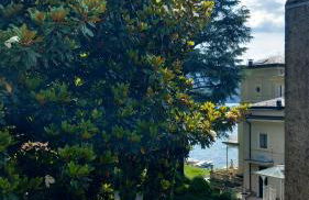 Una magnolia in Cademartori - Foto 31