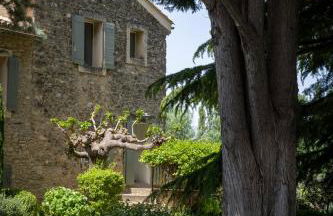 Mas des Cèdres - Photo 21