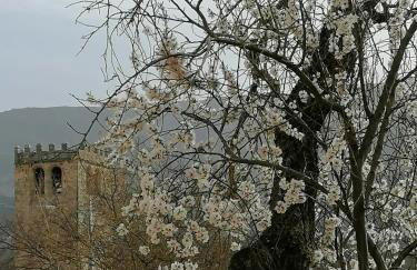 El Pajar 42 - Photo 36