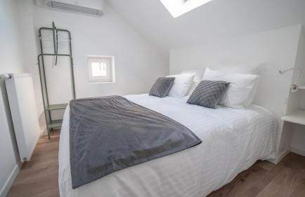 La Maison de la Douce Heure, 4 appartements climatisés avec jardin au centre ville proche des Thermes - Foto 26