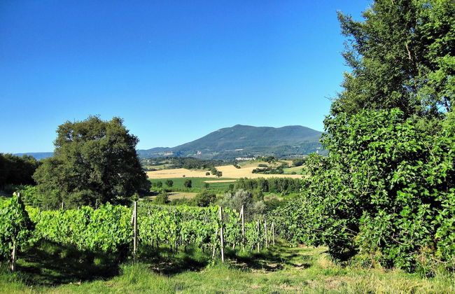 Agriturismo Il Pornelleto - Villa Alari - Foto 78