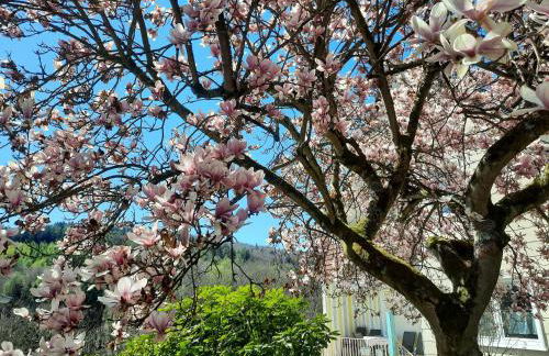 Rottgarten - Foto 43