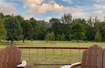 Cades Cabin - Foto 5