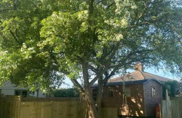 Elmcroft, Large House with Shepherds Hut - Foto 55