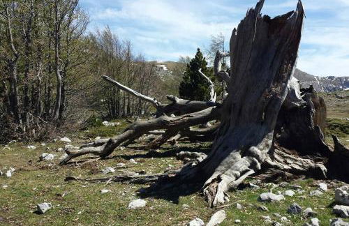 Tana di Zia Nature, Yourself, Love - Foto 50