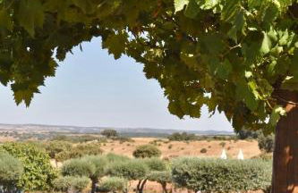 Aleixo's House | Alentejo - Foto 36