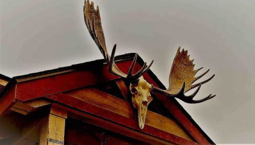 The Birches Cabin, at home in the woods! - Foto 4