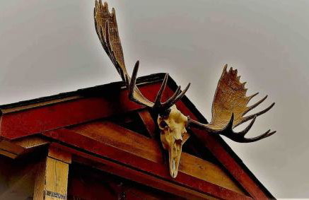 The Birches Cabin, at home in the woods! - Foto 4