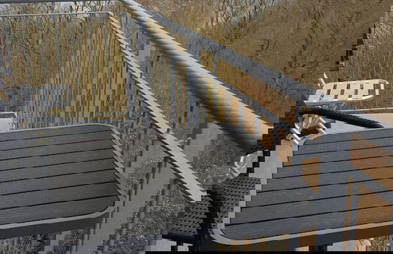 Friedrichs Ferienwohnungen - Foto 24